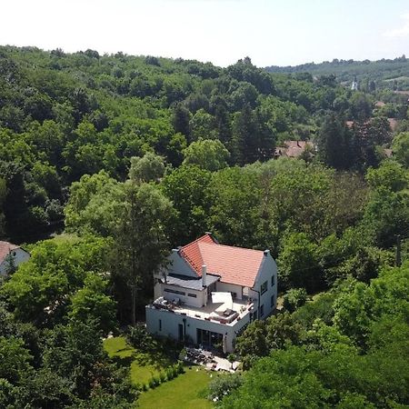 Villa Viridis Buekkalja Borsodgeszt 외부 사진