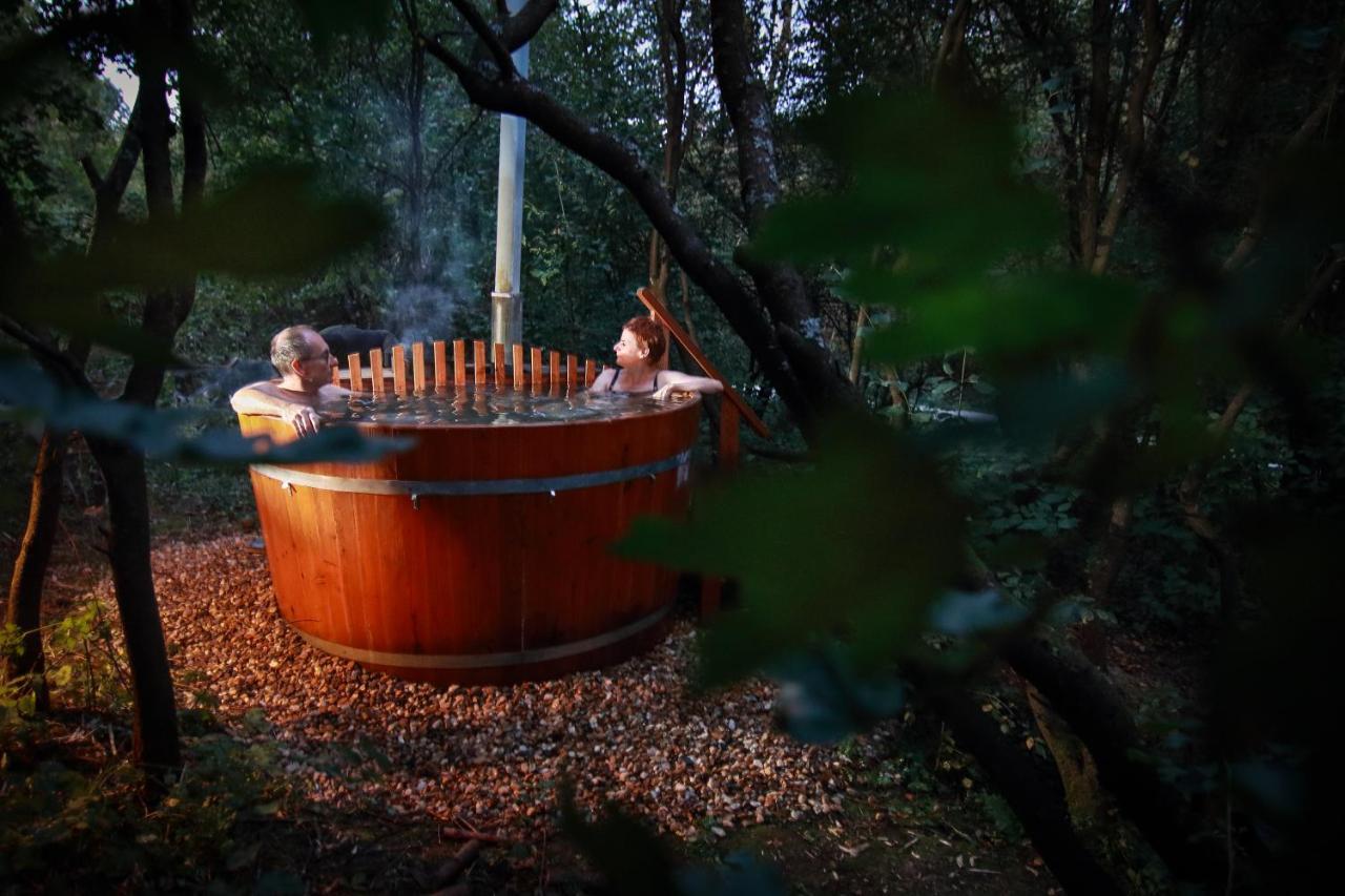 Villa Viridis Buekkalja Borsodgeszt 외부 사진